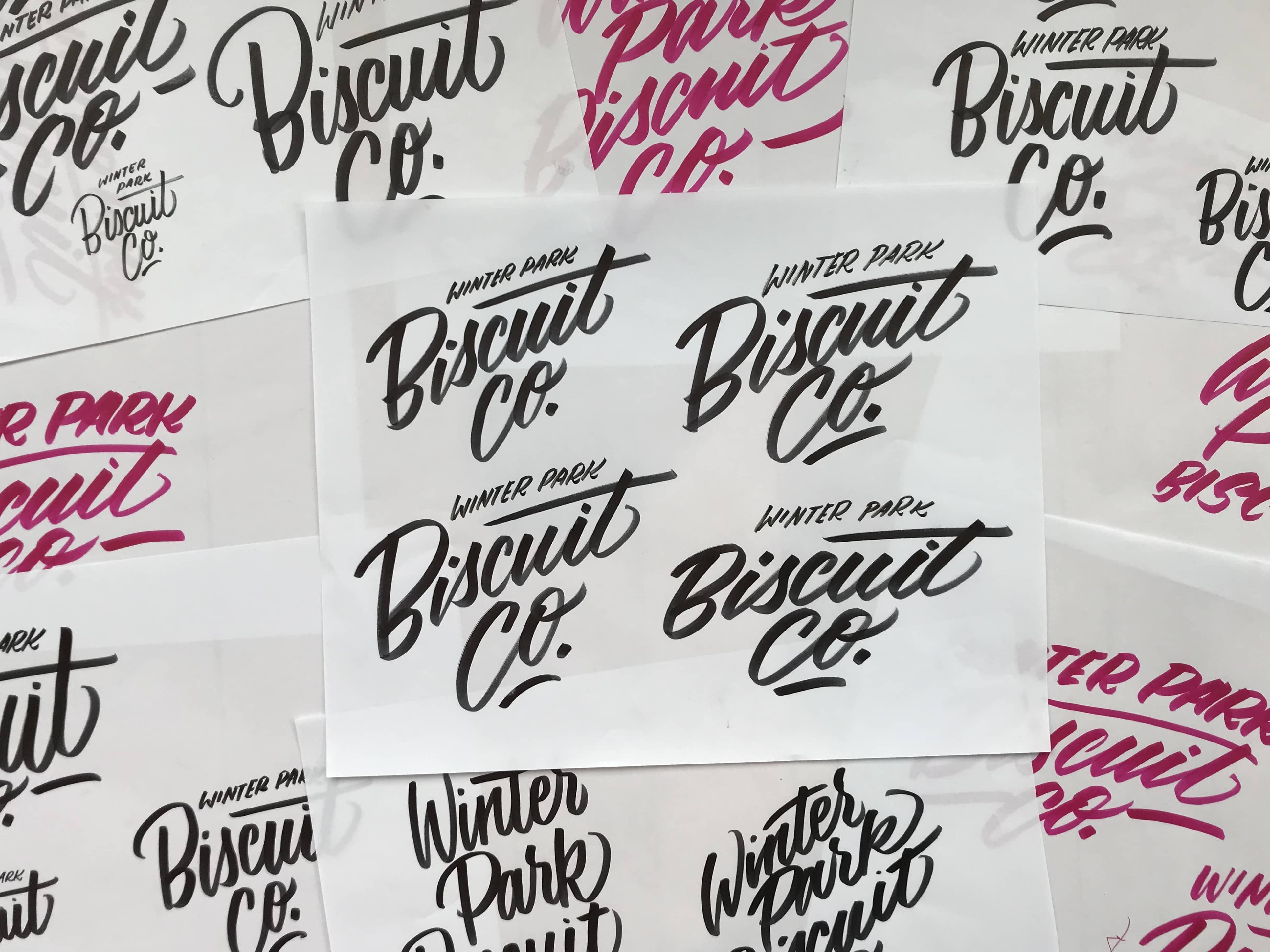 Winter Park Biscuit Co. hand lettered brush lettering sketches